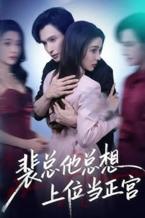 《裴总他总上位当正宫》封面