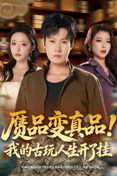 《赝品变真品！我的古玩人生开了挂》封面