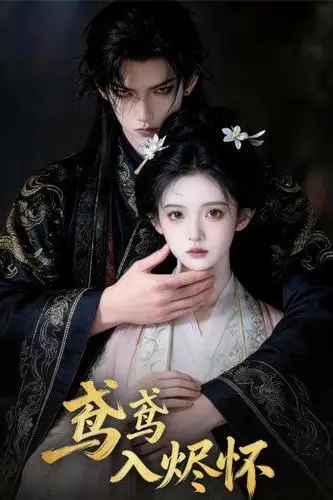 《鸢鸢入烬怀》封面
