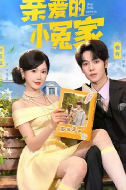 《亲爱的小冤家》封面