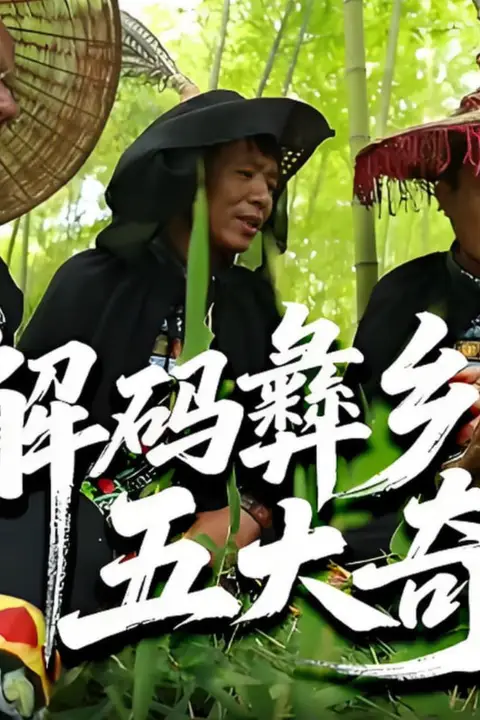 《解码彝乡五大奇》封面