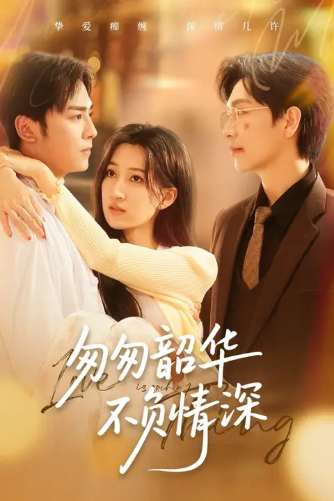 《匆匆韶华不负情深》封面