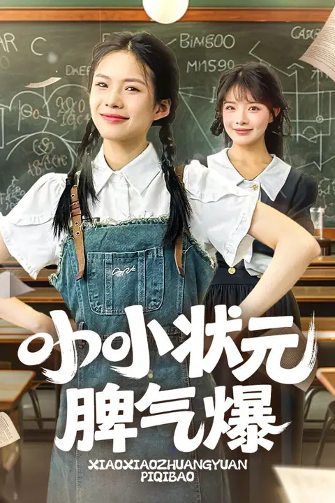《小小状元脾气爆》封面
