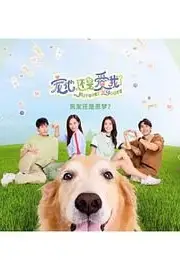 《宠他,还是爱我?》封面