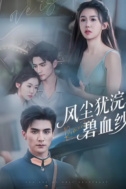 《风尘犹浣碧血纱》封面