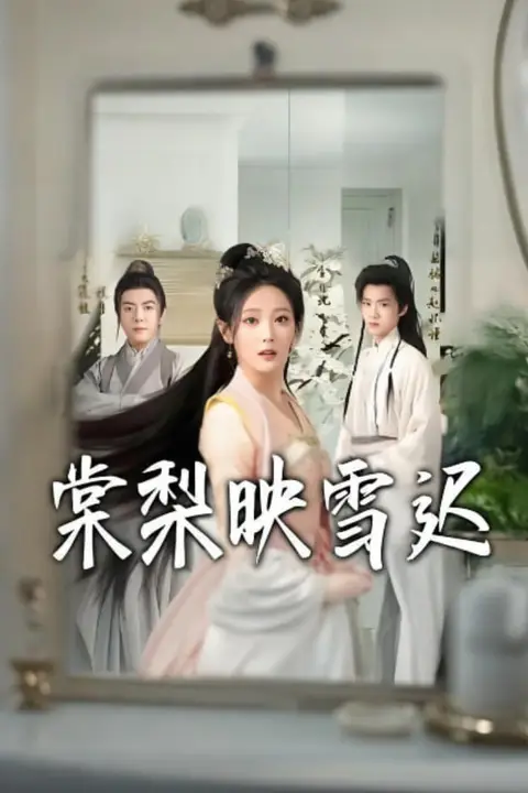 《棠梨映雪迟》封面