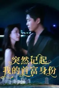 《突然记起我的首富身份》封面