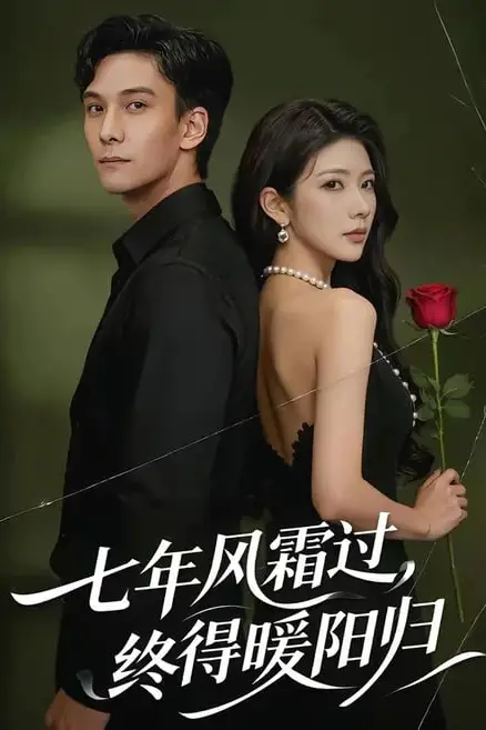 《七年风霜过，终得暖阳归》封面