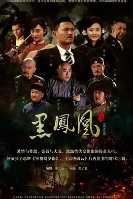 《黑凤凰》封面