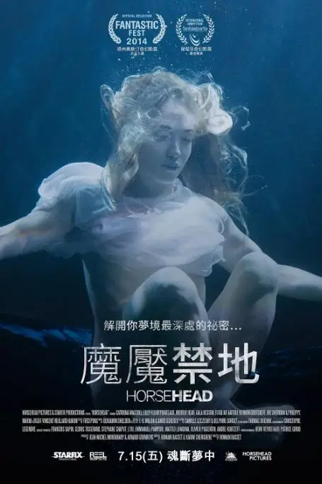 《马头》封面