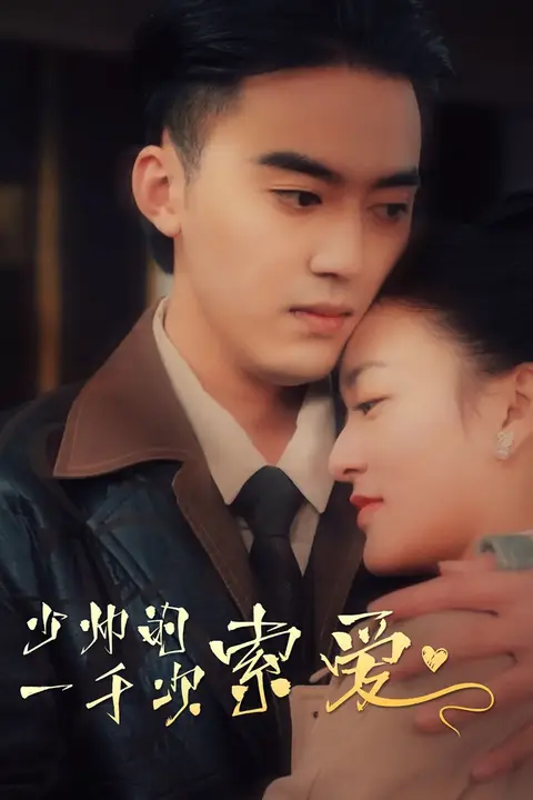 《少帅的一千次索爱》封面
