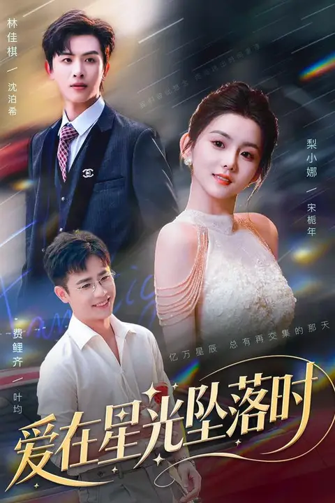 《爱在星光坠落时》封面