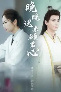 《晚晚迟来倾君心》封面
