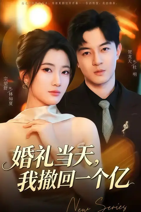 《婚礼当天，我撤回一个亿》封面