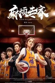 《麻烦专家》封面