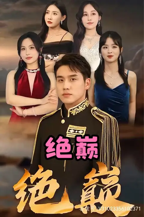 《绝巅》封面