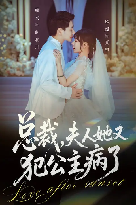 《总裁，夫人她又犯公主病了》封面