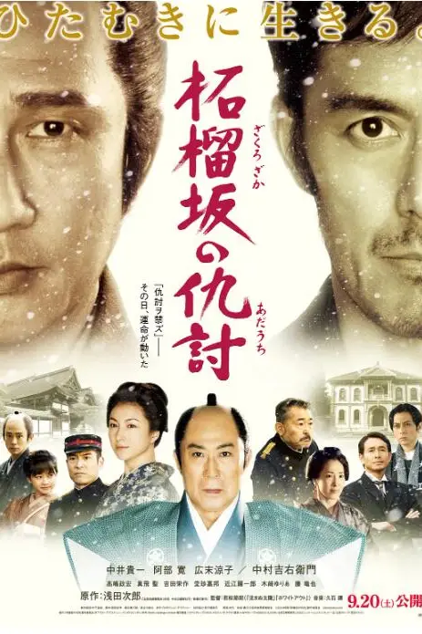 《石榴坡的复仇》封面
