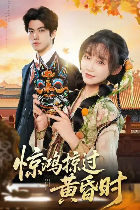 《惊鸿掠过黄昏时》封面