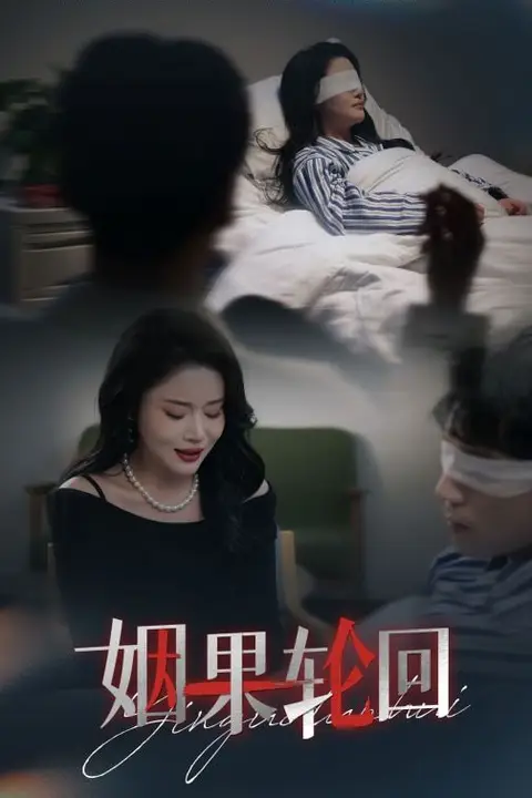 《姻果轮回》封面