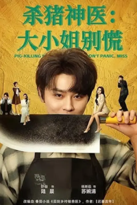 《杀猪神医,大小姐别慌》封面