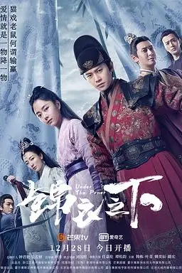《锦衣之下》封面
