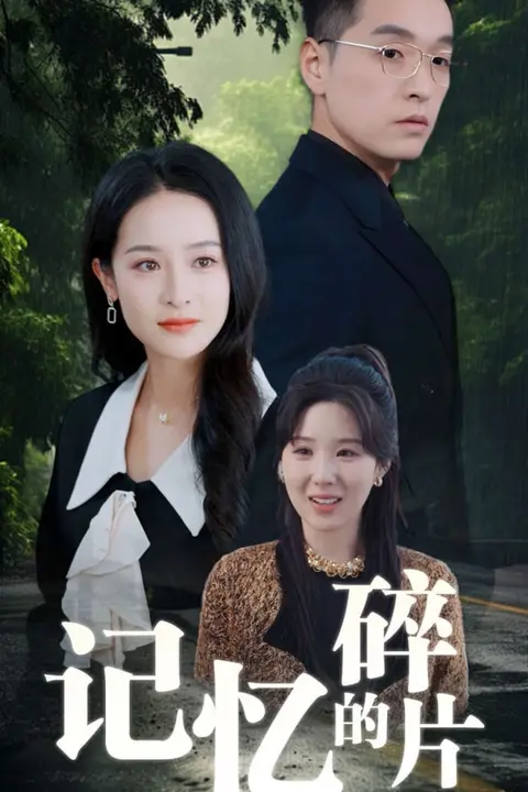 《记忆的碎片》封面