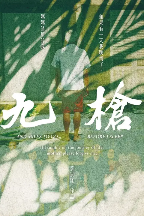 《九枪》封面