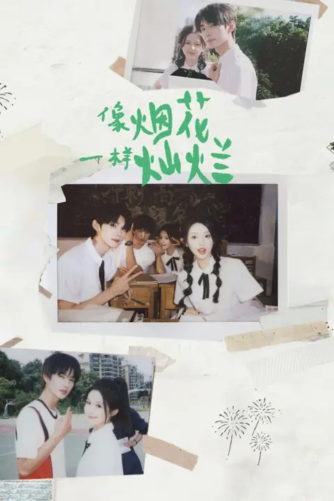 《像烟花一样灿烂》封面
