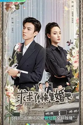 《求求了,快复婚吧》封面