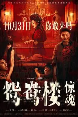 《鸳鸯楼·惊魂》封面