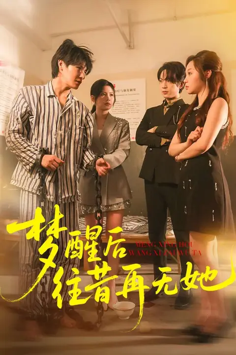 《梦醒后往昔再无她》封面