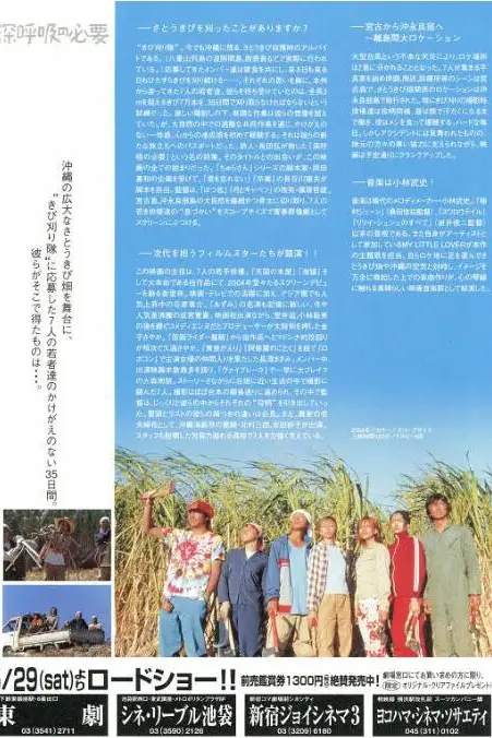 《深呼吸的必要》封面