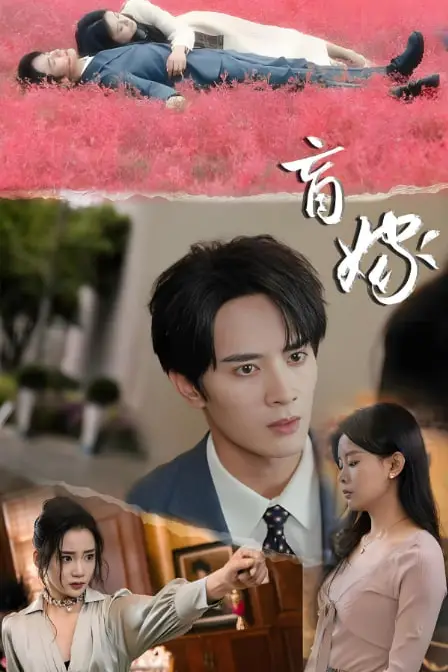 《盲嫁》封面