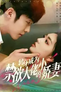 《转身成为禁欲大佬的小娇妻》封面