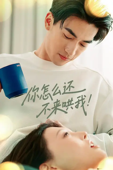 《你怎么还不来哄我》封面