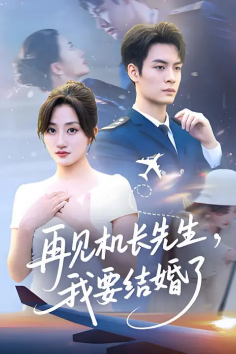 《再见机长先生我要结婚了(再见机长先生,我要结婚了)》封面