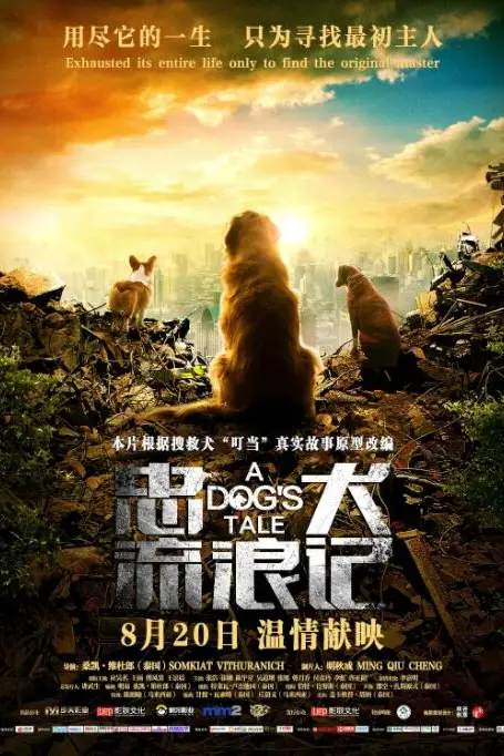 《忠犬流浪记》封面