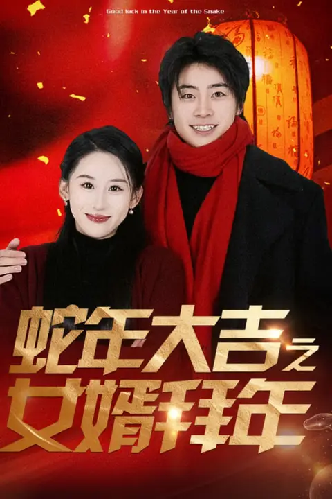 《蛇年大吉之女婿拜年》封面
