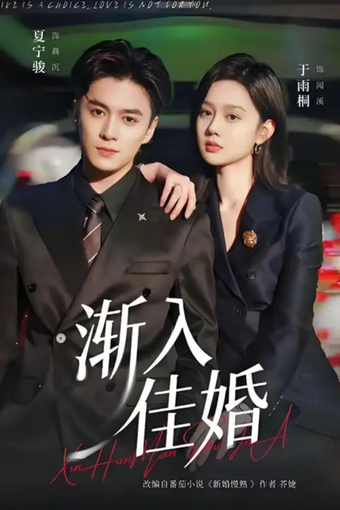 《渐入佳婚》封面