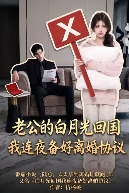 《老公的白月光回国我连夜备好离婚协议》封面