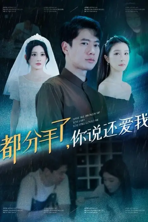 《都分手了你说还爱我》封面