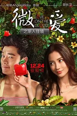 《微爱之渐入佳境》封面