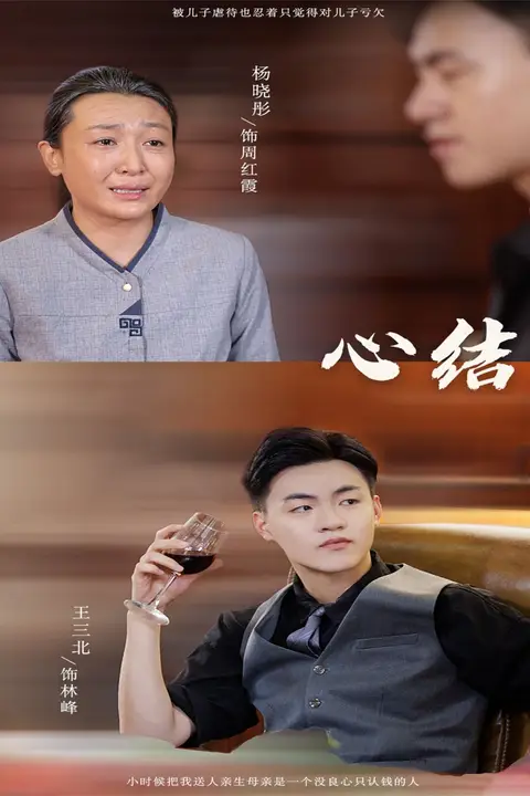 《心结》封面