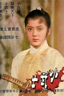 《小武士》封面