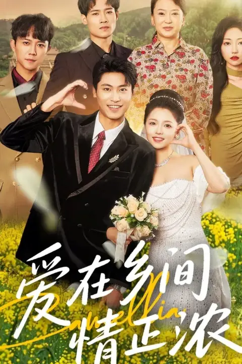 《爱在乡间情正浓》封面