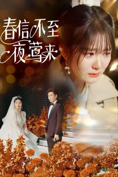 《春信不至夜莺来》封面