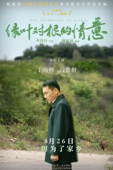 《绿叶对根的情意》封面