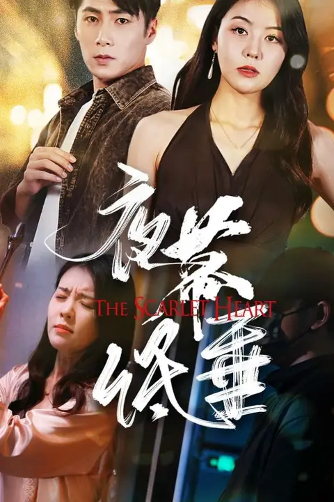 《夜幕低垂》封面
