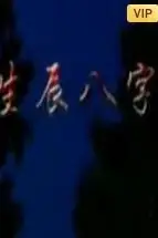 《生辰八字》封面